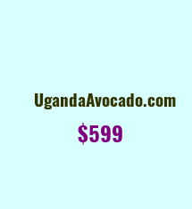 UgandaAvocado.com